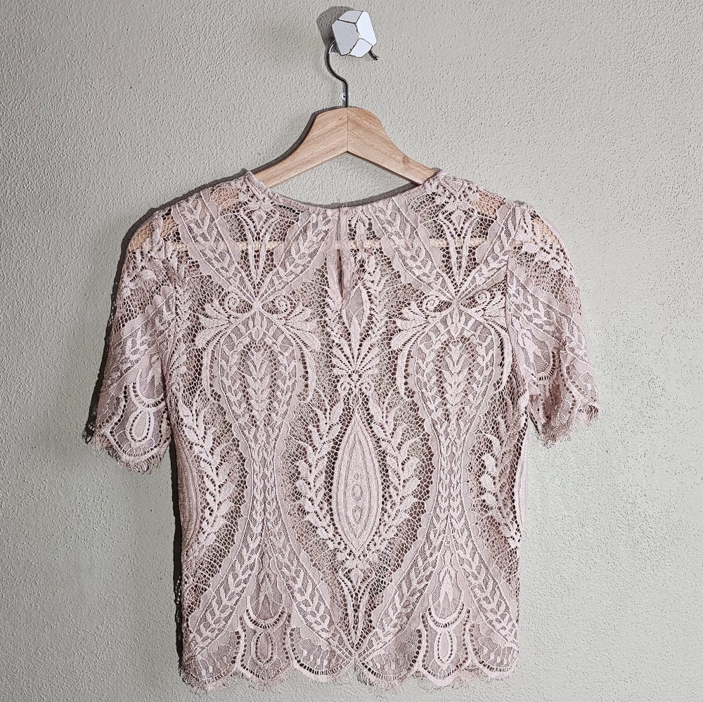 ☆ ZARA Short Sleeve Baby Pink Sheer Lace Top, S ☆ - Picture 2 of 7